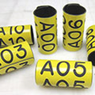 slide-bands